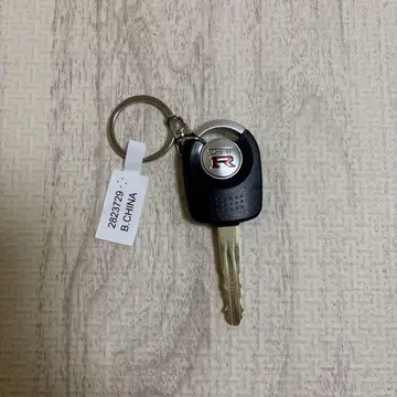 R 모델 키