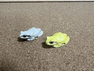 네이처 테크니컬러 가챠 청개구리 마그넷 흰색 알비노