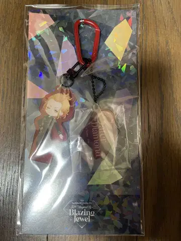 트위스테 SD 아크릴 참 케이트