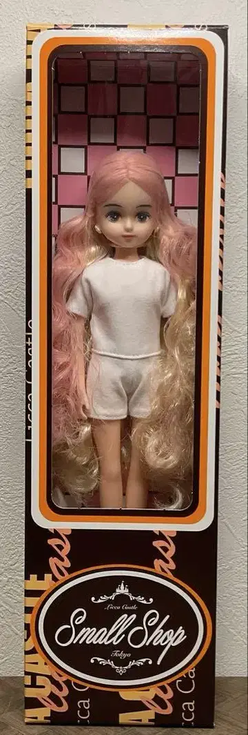 리카짱 캐슬 2022년 일본바시 BASIC 모델 파렛트 F