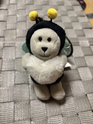 스벅 베어리스타 하치