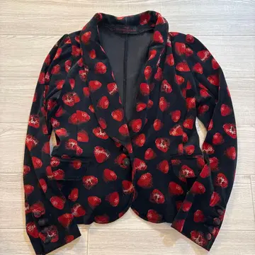 [레어] HYSTERIC GLAMOUR Skull Berry 자켓