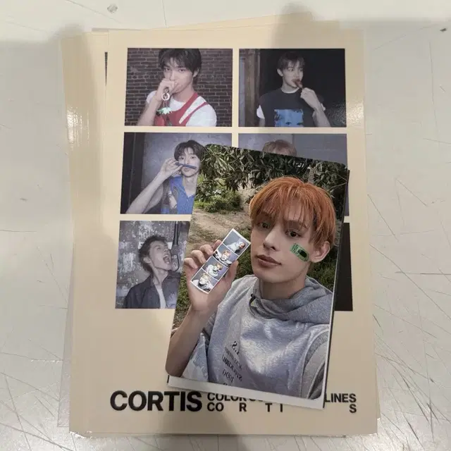 코르티스 앨범 포카 양도 판매 제임스