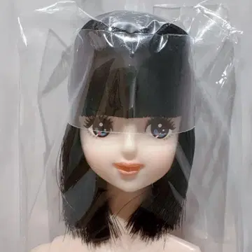 리카짱 캐슬 즐거운 인형 제니 프렌드 H 호시자와 나나코