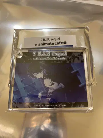 나인립 9 R.I.P. 히비키 코롯타 아니카페