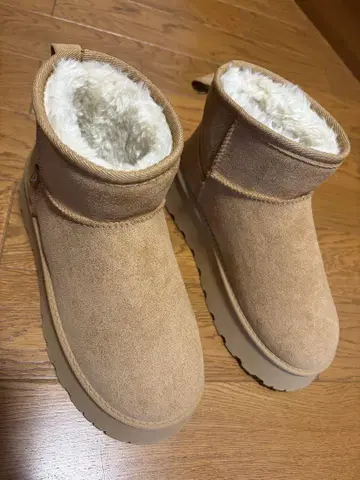 베이지 스웨이드 숏 어그 부츠