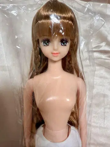 리카짱 캐슬 오타노시미 인형 아야노 리틀팩토리