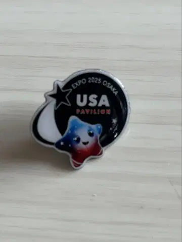 USA 2023 챔피언 핀 배지