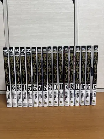 종말의 발키리 1~17권