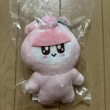 SEVENTEEN 봉봉이 토끼