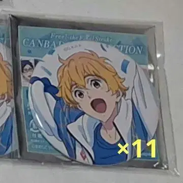 Free! FS Celebration 캔뱃지 하즈키 나기사