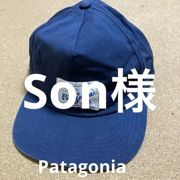 파타고니아 팬페어러 캡