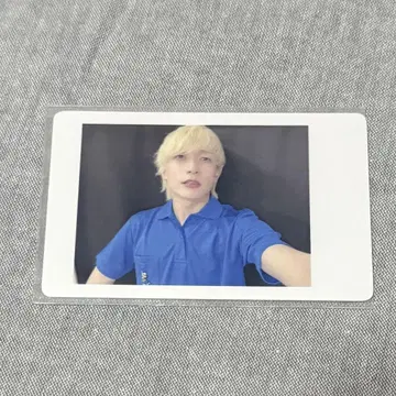 팬더드래곤 요타 하피카