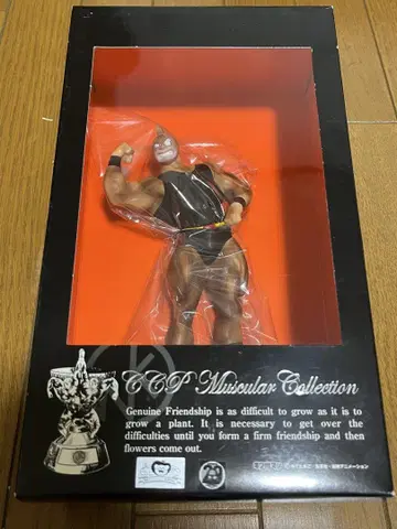 CCP Muscular Collection 근육맨