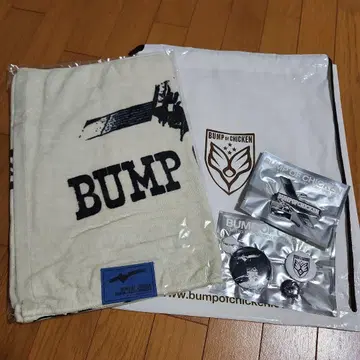 BUMP OF CHICKEN 2008 HOMESICK EISEI 굿즈