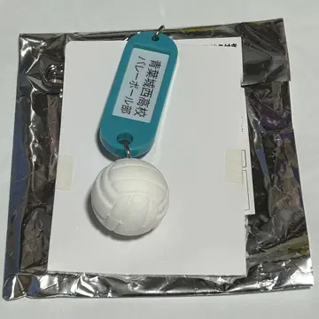 청람고등학교 배구 키링