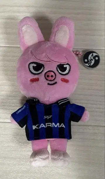새상품 Straykids KARMA SKZOO 돼끼 창빈 스키즈