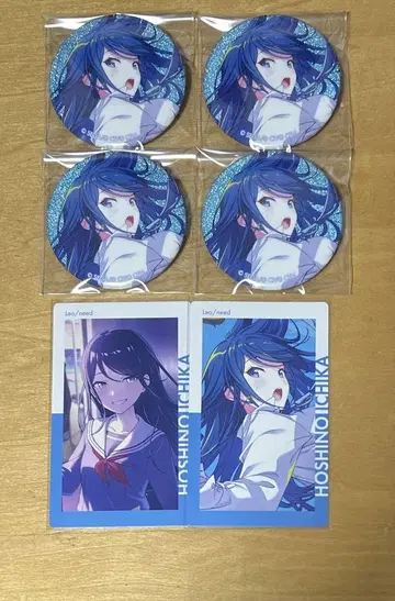 프로세카 호시노 이치카 캔뱃지 에피카