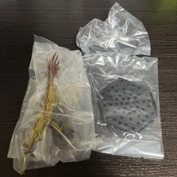 몬스터 헌터 피규어 레다우
