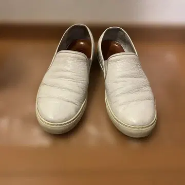 predibino 슬립온 made in ITALY