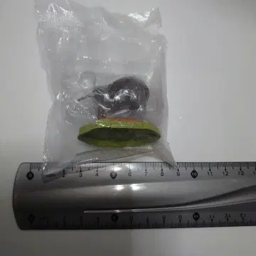 텐노지 동물원 공식 캡슐 피규어 캡슐즈 키위 가챠가챠