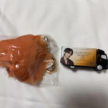 NAOTO 퍼 키링 미니어처 트럭