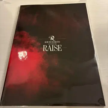 코이치 도모토 RAISE 팜플렛