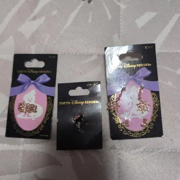 TOKYO DISNEY RESORT 귀걸이 세트