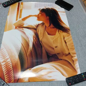 ZARD B2 포스터