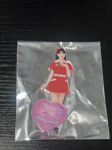 야마우치 미즈키 아크릴 스탠드 AKB48 복권