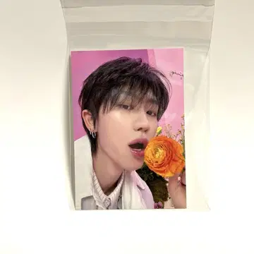 디에잇 SEVENTEEN 셀피 사진 ALWAYS YOURS