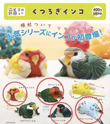 휴식 잉꼬 새의 휴일
