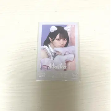 사사키 마이카 고양이 의상 미니 사진