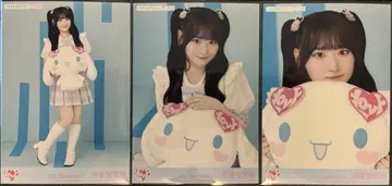 이코럽 사이토 지아라 시나모롤 콜라보 2025 브로마이드 3종 컴프