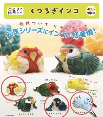 코토리의 휴일 편안한 잉꼬