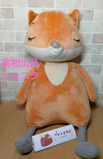 Jellycat sleepee fox 제리캣 여우 봉제 인형