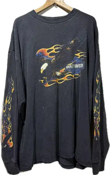 할리 데이비슨 프레임 소매 프린트 롱 T 파이어 패턴