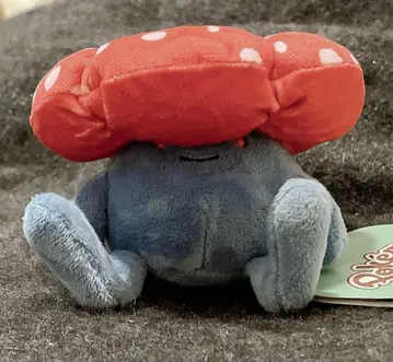 아르코 포켓몬핏 봉제 인형 pokemonfit