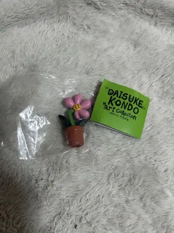DAISUKE KONDO 아트 컬렉션 플라워