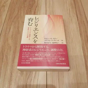 회복탄력성을 기르는 폴리베이걸 이론에 따른 발달성 트라우마 치료
