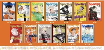 하이큐!! 소설판 Sportiva 애니메이트 비주얼 보드 전종