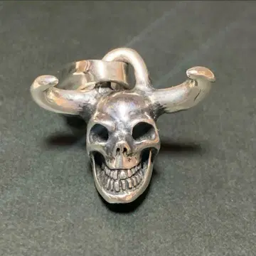 새상품 Gabor 울트라 파더 셰브론 베일 미라클 스컬 펜던트