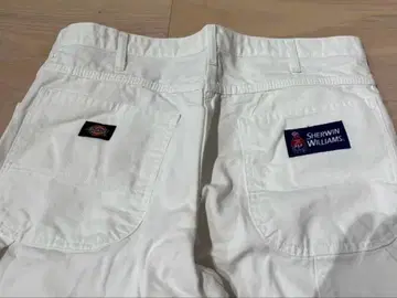 3 Dickies 워크 팬츠 Sherwin Williams 34 30