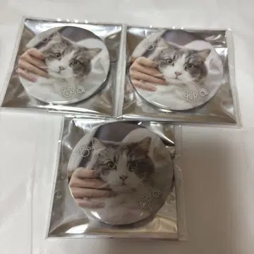 스토푸리 사토미 군 캔뱃지 묶음 판매