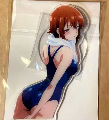 그랑블루 아크릴 스탠드 코테가와 치사