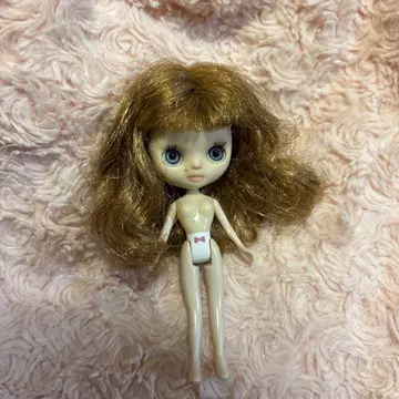 커스텀 미니 브라이스 본체