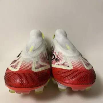 f50+ 레이스리스
