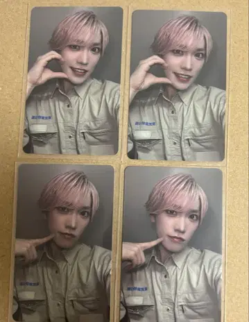 팬더드래곤 타이거 트레이딩 카드 파라곤 토부 동물공원