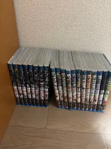 Dr. Stone