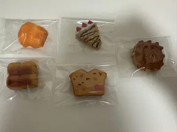 쫀득 베이커리 쫀득 케이크 가게 스퀴즈